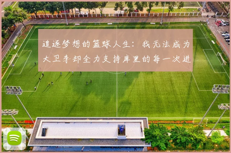 追逐梦想的篮球人生：我无法成为大卫李却全力支持库里的每一次进攻